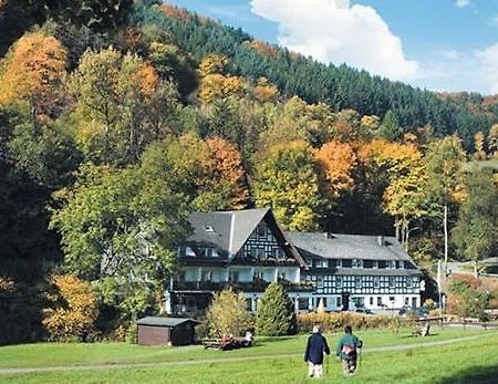 Tommes Gaestehaus Zur Muehle Schmallenberg Esterno foto