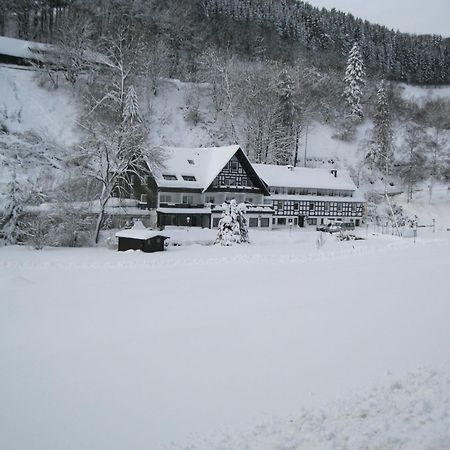 Tommes Gaestehaus Zur Muehle Schmallenberg Esterno foto