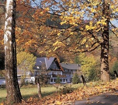 Tommes Gaestehaus Zur Muehle Schmallenberg Esterno foto